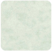 Burnt Umber Lime